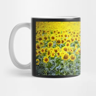 Sunflowers field Mug